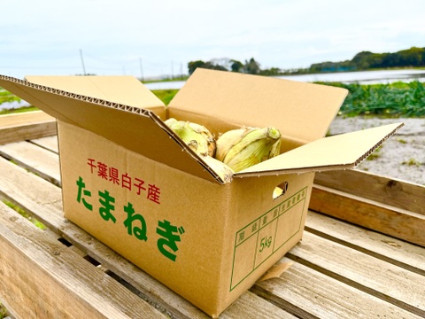 【白子町特産】✨林農園の新玉ねぎ
✨（５kg）