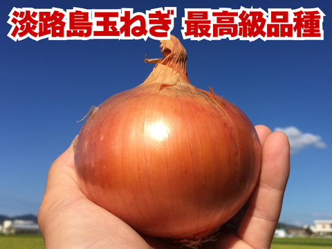 【玉ねぎの最高峰】淡路島 完熟玉ねぎ10kg 約30～40個入