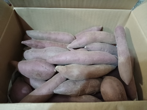 家族で食べたい！ほくほく甘い金時芋(小さめ・１箱３キロ)×３箱