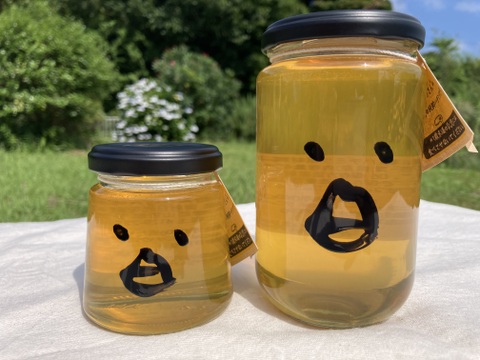 春のハチミツさん 450g