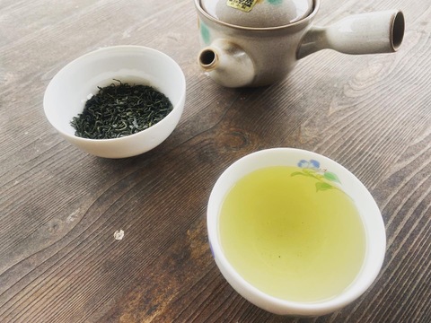 宮崎ブランド釜炒り茶★シングルオリジン】やぶきた(R6年産一番茶100g×3袋セット）