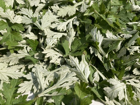 家人誕生日記念🎂🎊