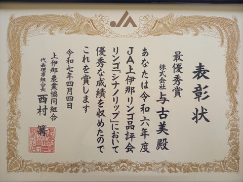 ≪収穫中≫　新品種！夏りんご【シナノリップ】３㎏