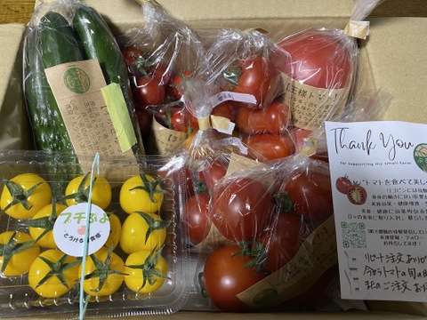 今が旬真っ只中♪ ぶるベジトマト🍅食べ比べ！朝モギきゅうり🥒３本付き！【トマト🍅たっぷり♪】