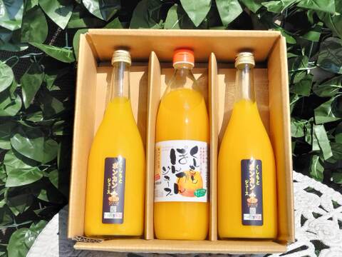 四季彩園のくしもとポンカンジュース