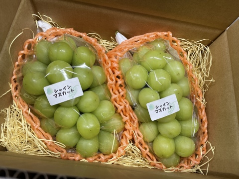 先行予約【大好評】ジューシーで甘〜い信州産シャインマスカット！
【ご贈答用】１㎏以上
S-g1