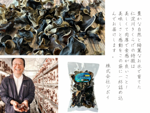 【仁淀川きくらげの魅力を伝える大袋】高知県産仁淀川きくらげ(ホールタイプ100g×3Pセット) ※戻し方、参考料理の冊子付き Niyodogawa Kikurage