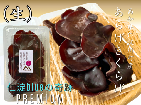 高知県仁淀川町産『(生)あらげきくらげ』奇跡の水で育てた「夏場しか食べれない贅沢」さらに“極上”の品質だけを選び抜いた“premium“な”生きくらげ”。季節限定。大容量2kg(500g×4パック)