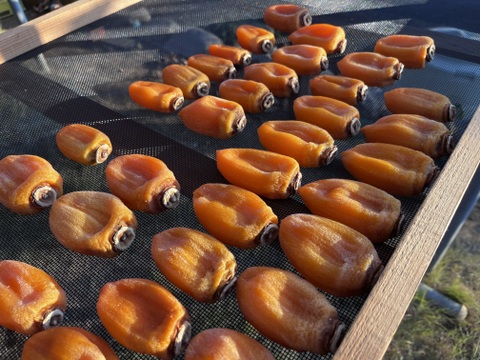 お得パック！甲州百匁柿『枯露柿』（ご家庭用・徳用　約５００ｇ）