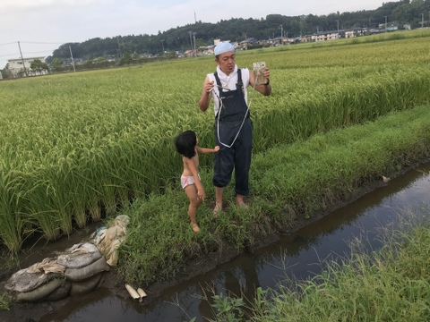 天日干しって美味しい！ もっちり！ "太陽のめぐみ天日干し米"  玄米5kg