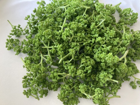 京都産　天然　花山椒　50グラム