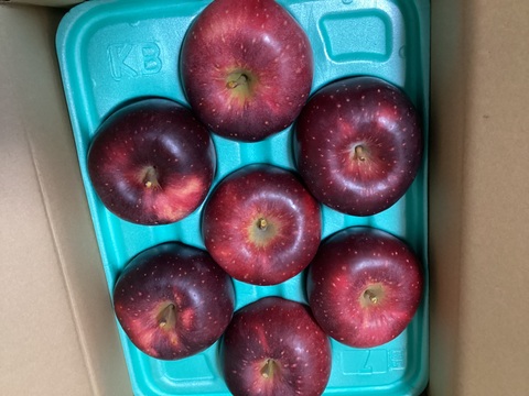 【シナノホッペ】家庭用　甘くて硬い！ほっぺが落ちる美味しさ♡