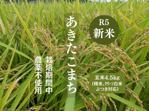 R5:あきたこまち 玄米4.5kg（農薬不使用のお米）