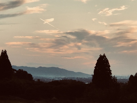 【PREMIUM幸水梨3kg】贈答用( 特大5~7個) 甘くてジューシー💦まるで梨ジュース🥤ひとつひとつ色付きを確認して樹上完熟で収穫😋特大梨の収穫量が増えました‼️