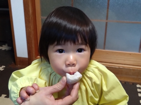 【自然栽培】里芋２種類食べ比べセット！栗のようにホクホク甘い里芋 八つ頭 ＆ 在来種の里芋 大野在来（大野芋）合計2.5kg