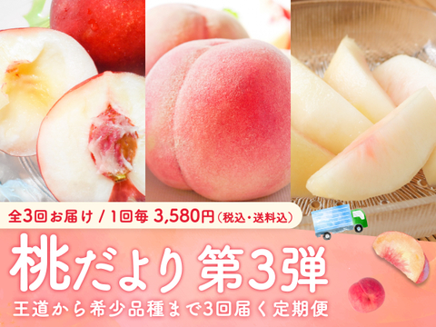 【売り切れ】【限定300セット】3種の桃だより第3弾（食べチョク公式）