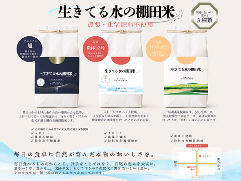 令和8年新米◇生きてる水の棚田米プレミアム◇天日干し・農薬・化学