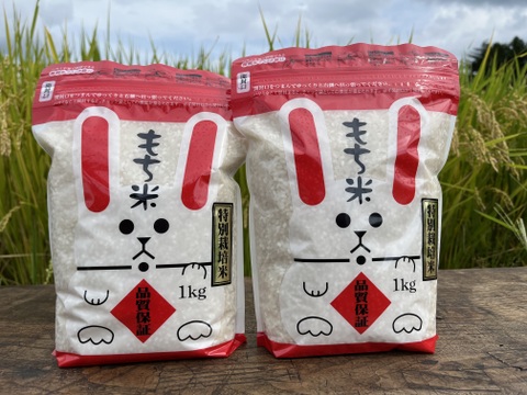 令和4年産　もち米　1㎏×2袋　特別栽培米ヒメノモチ＋特別栽培米ミルキークイーン精白米2 kg ×1袋