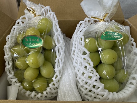 令和7年農林水産大臣賞受賞者が送る【特別栽培農産物】長野県産シャインマスカット1㎏～1.2kg（2房～3房）