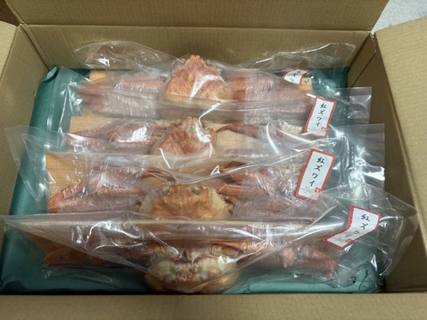 ~日時指定可~富山湾の紅ズワイガニ✨お得な1.2Kgセット（中小サイズ3杯）”茹でたて特殊急速冷凍品”