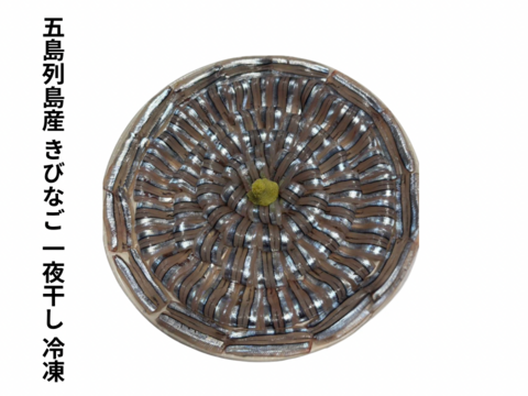 キビナゴ 塩 一夜干し 冷凍 総重量 600ｇ