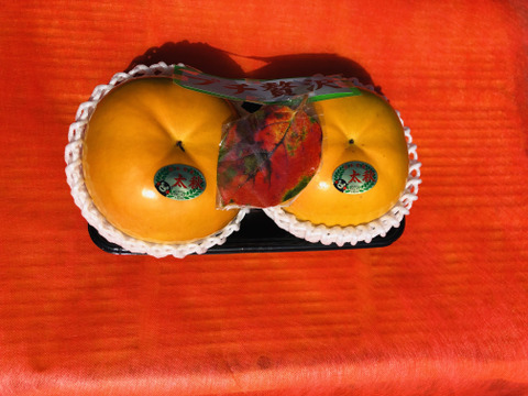 【再販❕】12/1から　サクサク食感+上品な甘さの柿【プチギフト】太秋柿　約０．８kg２玉