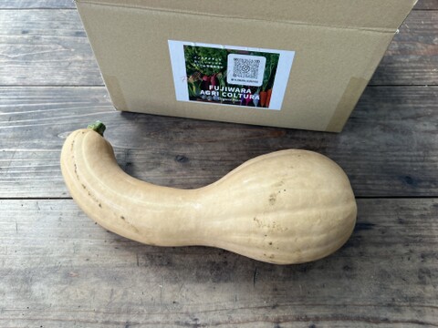 ☆有機JAS認証☆鶴首かぼちゃ約1.5㎏