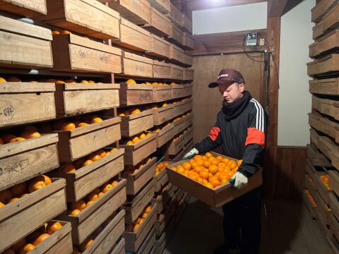 山下農園　『完熟蔵出しみかん』約2kg S~Lサイズ