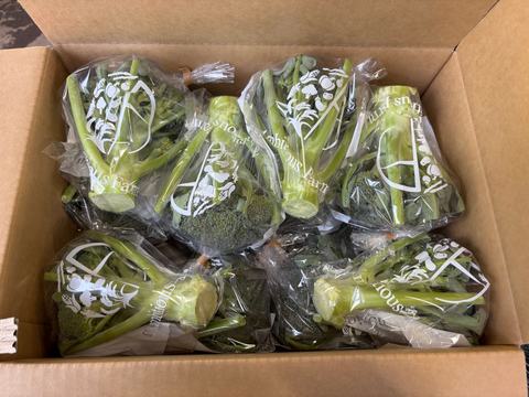 朝採れ直送！毎日食べたくなるブロッコリー　12個入り　//先行予約/2026年6月上旬より発送//