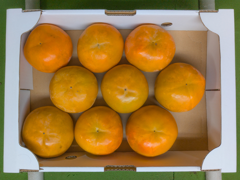 福岡の太陽が育てたあま〜い『富有柿』5kg  2Lサイズ（約18玉・優ランク）｜ご家庭用にも 【冬ギフト】 にもぴったり！