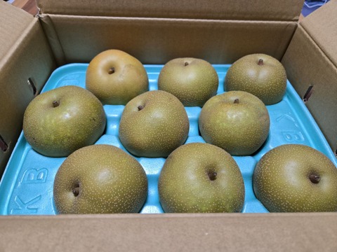 【長野県産】幸水梨《家庭用3kg》