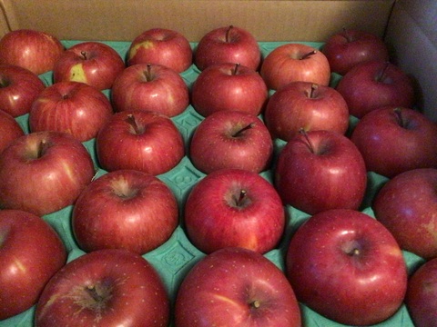 りんごグランプリ2025最高金賞1位🎊  サンふじ 5キロ箱小玉 食べきりサイズ20〜33玉程度 ID56576 長野県 信州 安曇野 リンゴ 幻 予約 希少 旬 甘い