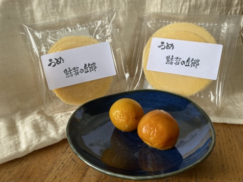 すっぱい?!【新作】完熟うめせんべい