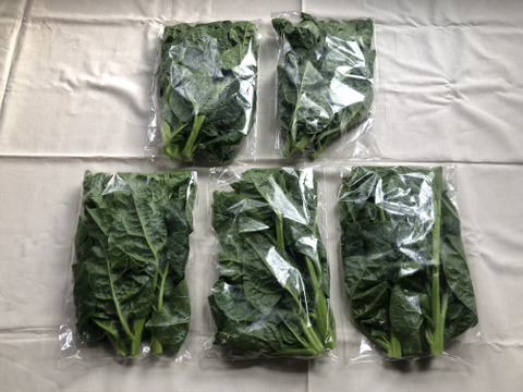 つるむらさき　5袋（1kg）　＜農薬・化学肥料不使用＞