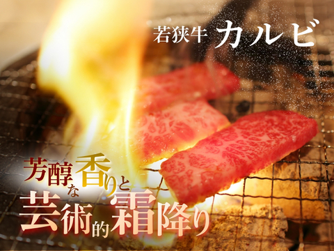若狭牛 王道焼肉 カルビ ＆ モモ 450g（2-3人前） 【 焼肉 お肉 お取り寄せ グルメ 贈り物 ギフト プレゼント 誕生日 おすすめ 赤身 霜降 】【母の日ギフト】