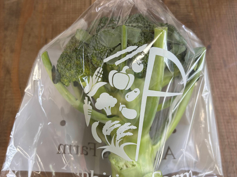 朝採れ直送！毎日食べたくなるブロッコリー　12個入り　//先行予約/2026年6月上旬より発送//