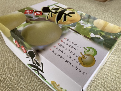 完熟だから美味い！☆日本一大きな梨、贈答にもお薦め、愛宕梨【約2.5
kg（4個程度）】