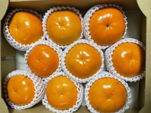 【送料500円引き🍂】極上果汁！　紀州てまり（柿）🟠✨ファミリーパック 2L以上8〜9玉入り 家庭用【和歌山県産特別品種】