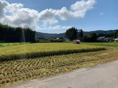 【令和7年度産　山の水で育った】高知県香南市産コシヒカリ　精米5Kg×2袋（10Kg）