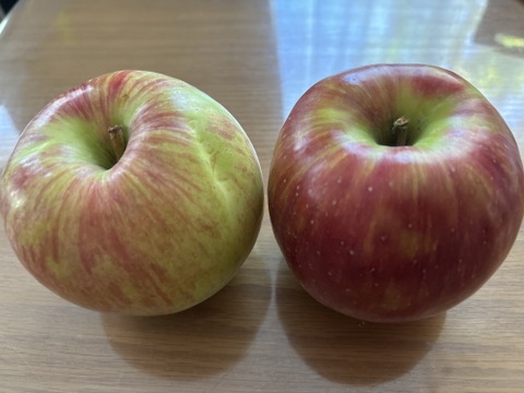 夏りんご　訳ありサンつがる家庭用10kg超