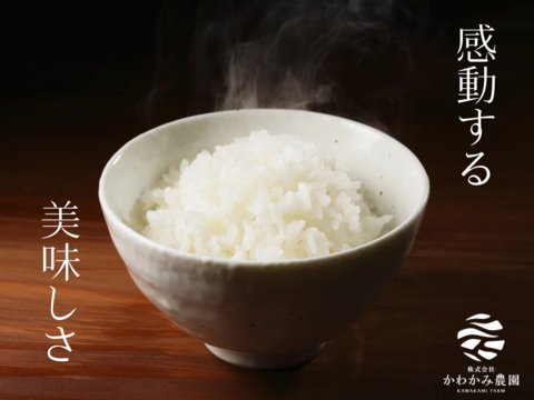 【令和7年産新米】新潟県産コシヒカリ精米5kg