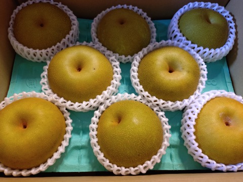 甘～い幸水梨、3キロダンボール箱🍐6～10玉入り　発送中