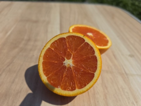 箱込約2㌔　ピンクネーブル　激レア