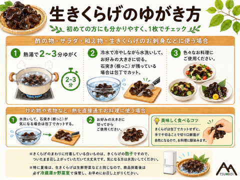有機JAS認証 高知県仁淀川町産 生きくらげ 500g×1パック｜肉厚ぷりぷり・季節限定