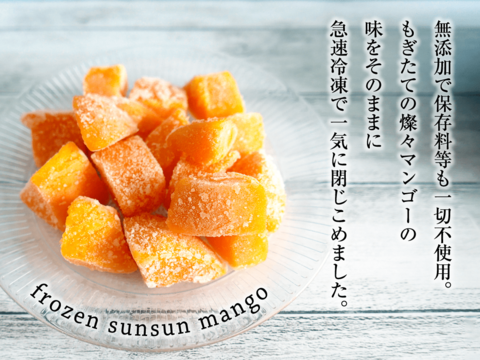 【沖縄県産】冷凍 燦々マンゴー（ダイスカット） 1袋500g入り