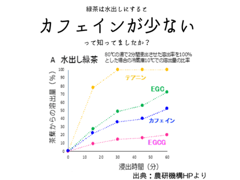 希少部位　真（ジン）100％使用　水出し緑地1リットル用5g✖️30パック春の一番茶　プレミアム水出し緑茶　数量限定