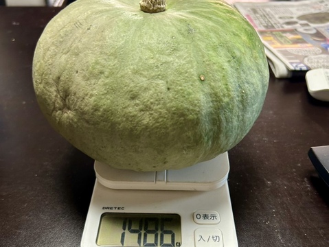 甘い！ホックホク！「栗カボチャ」　約3キロ(2~3個)