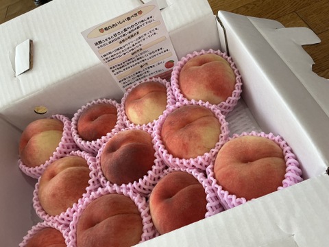 夏ギフト　【超新鮮桃】3kg　8～14玉【ASIAGAP認証農場：津軽農園】安心・安全な桃　収穫した日に発送　家庭用　農家直送【朝どれ】