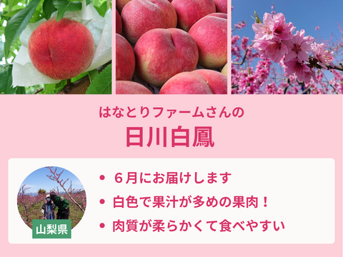 【限定300セット】桃食べ比べ便第１弾※送料込※（食べチョク公式）