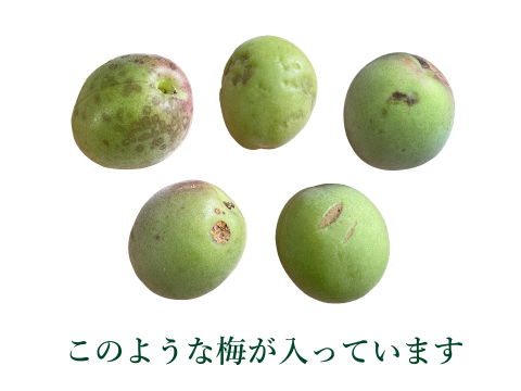 ☆訳あり【青梅・品種混合約3kg】梅酒・シロップ作りに！特別栽培・奈良県吉野